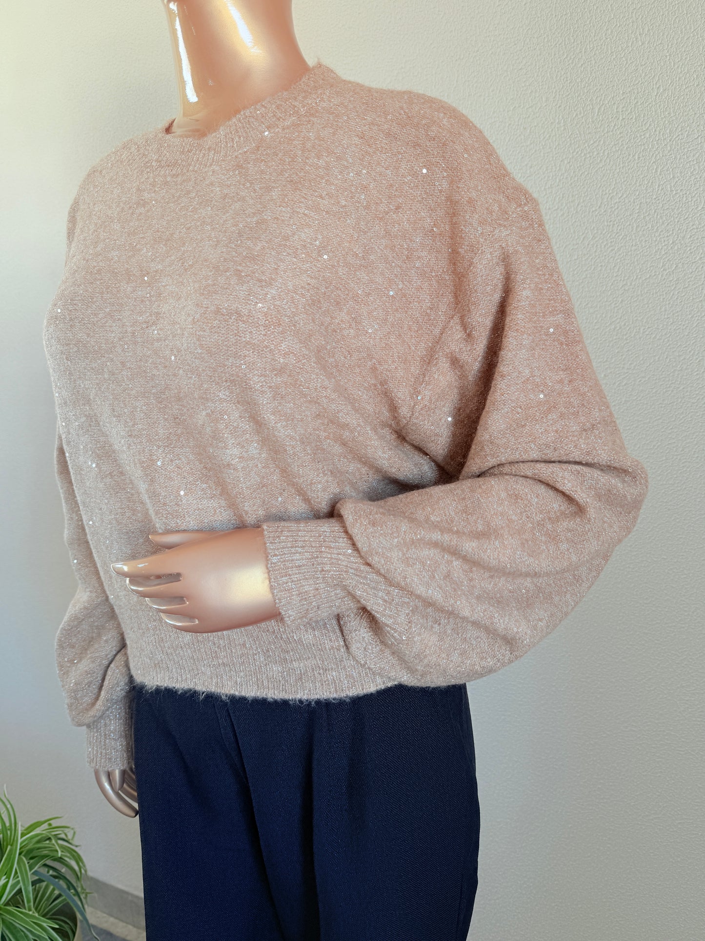 Knitted Woollen Top with Shimmer & Sequin Detail - Beige